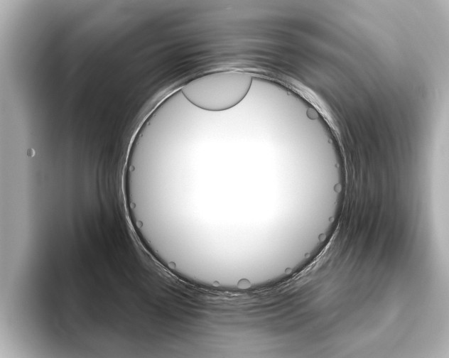 X0000093751338200710160802