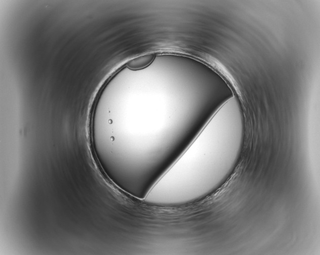 X0000093751339200710160802