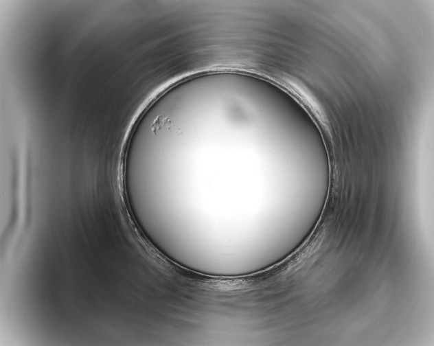 X0000093751340200710160802