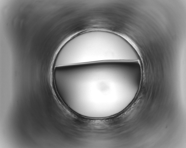 X0000093751341200710160802