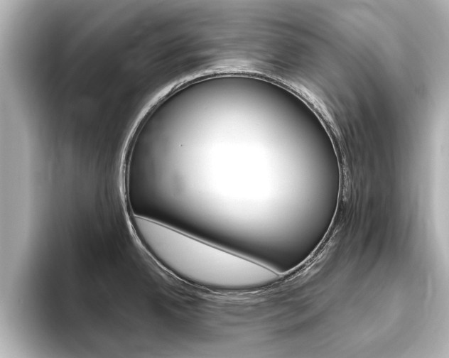 X0000093751342200710160802