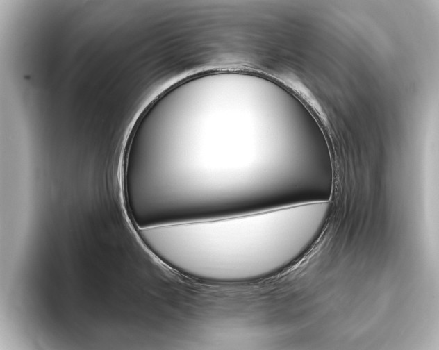X0000093751343200710160802
