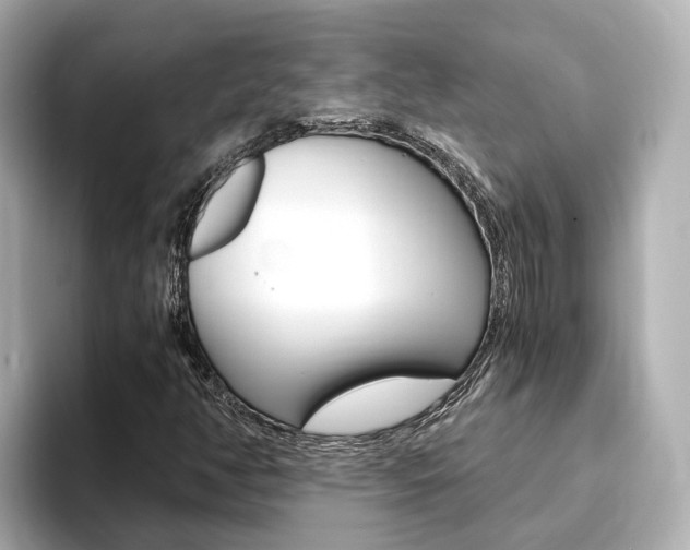 X0000093751350200710160802