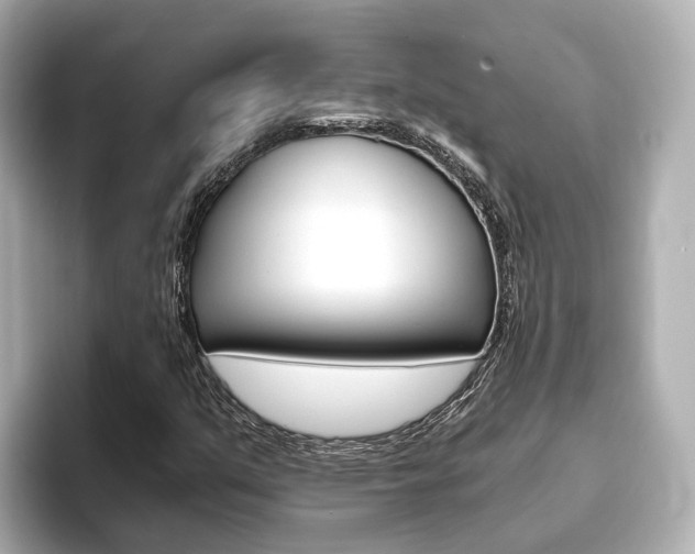 X0000093751351200710160802
