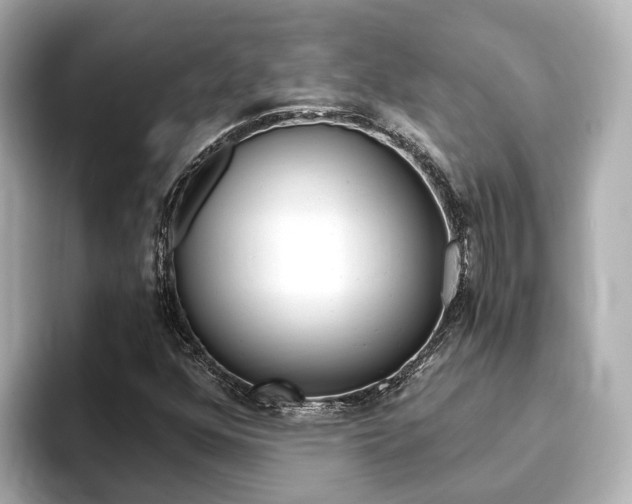 X0000093751352200710160802