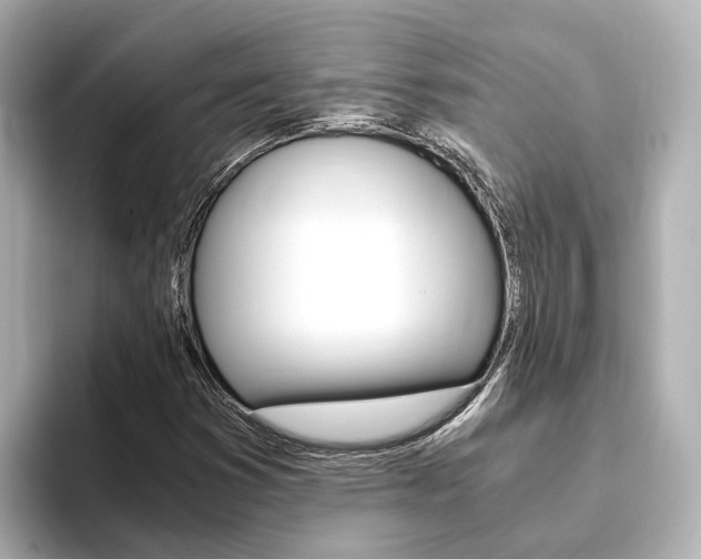 X0000093751353200710160802