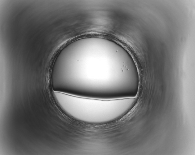 X0000093751355200710160802