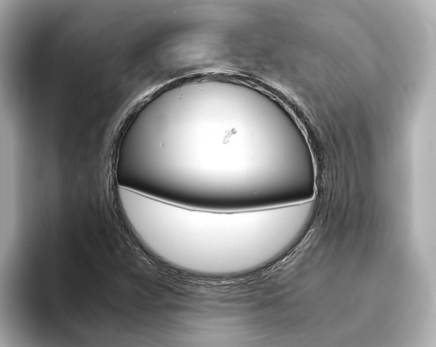 X0000093751359200710160802