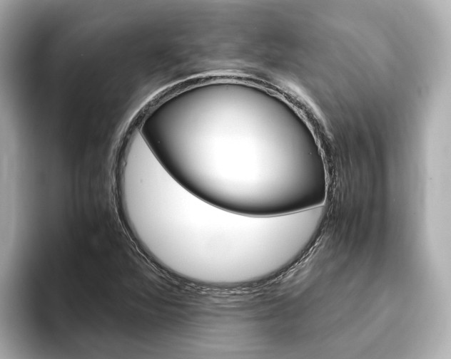 X0000093751360200710160802
