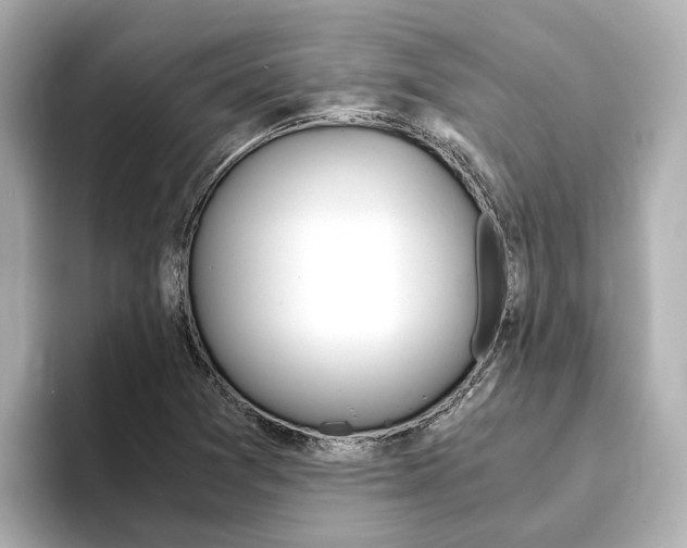 X0000093751361200710160802
