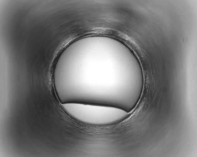 X0000093751362200710160802