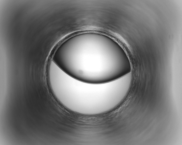 X0000093751364200710160802