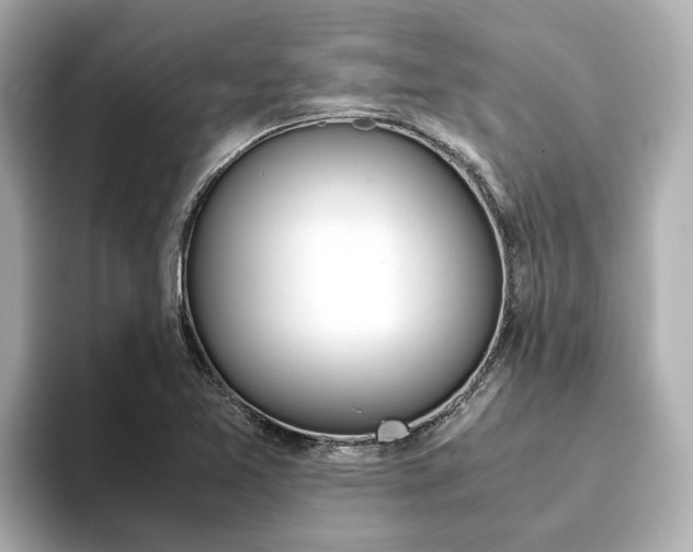 X0000093751365200710160802