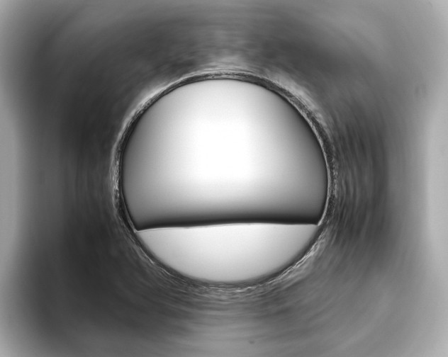 X0000093751366200710160802