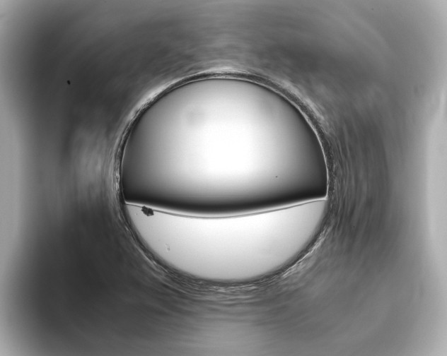 X0000093751367200710160802