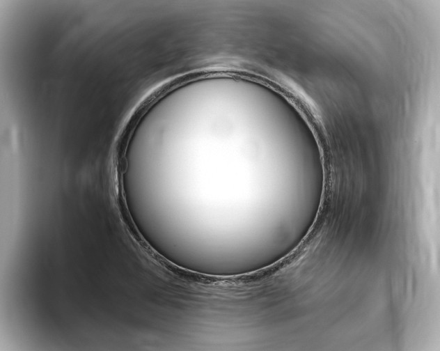 X0000093751368200710160802