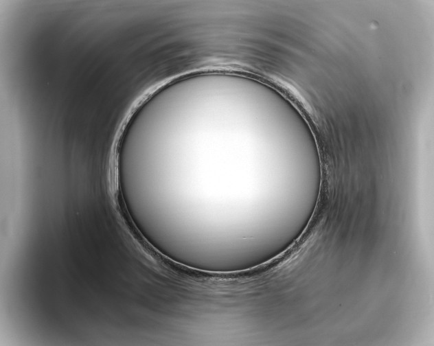 X0000093751371200710160801