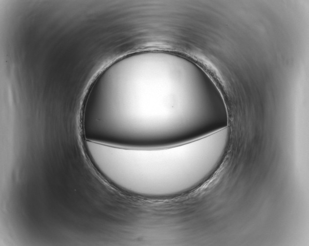 X0000093751373200710160801