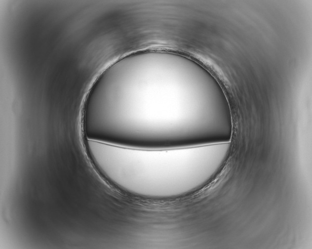 X0000093751375200710160801
