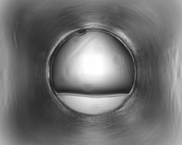 X0000093751376200710160801