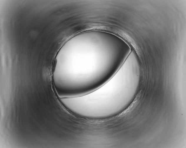X0000093751377200710160801