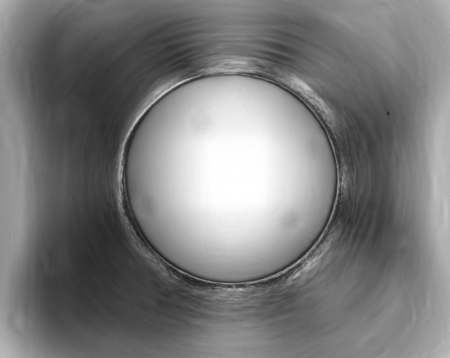 X0000093751378200710160801