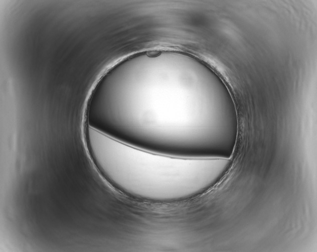 X0000093751379200710160801