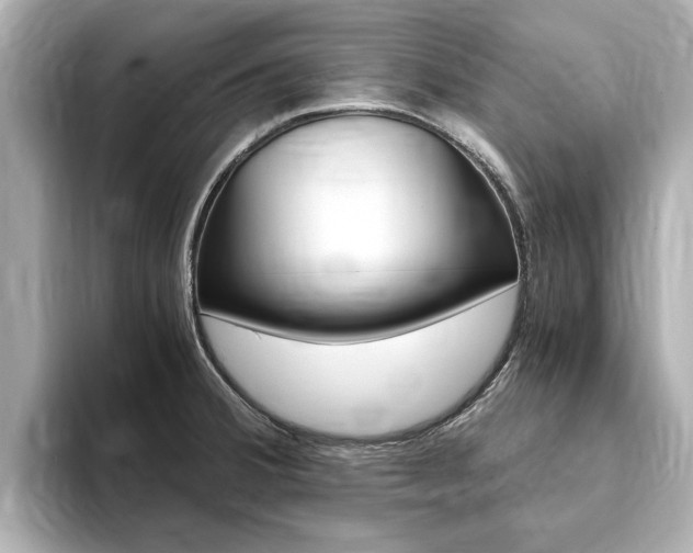 X0000093751380200710160801