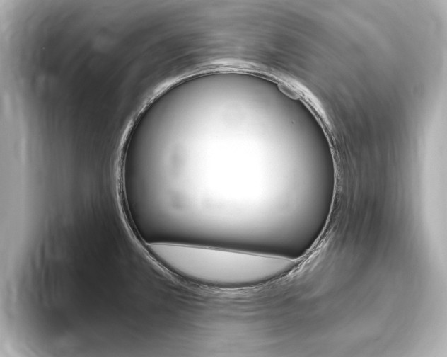 X0000093751381200710160801