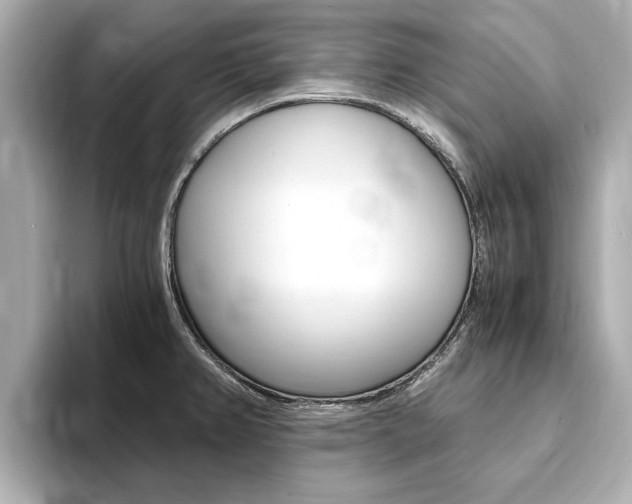 X0000093751382200710160801