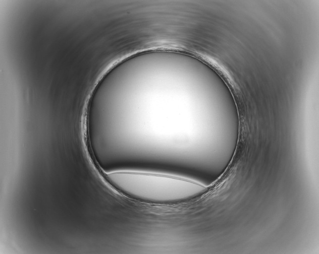 X0000093751383200710160801