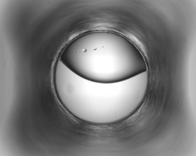 X0000093751384200710160801