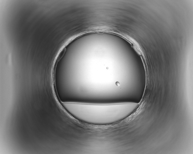 X0000093751389200710160801