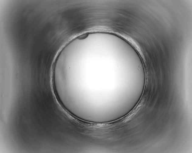 X0000093751390200710160801