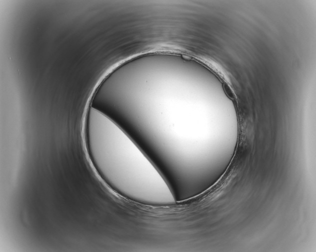 X0000093751391200710160801