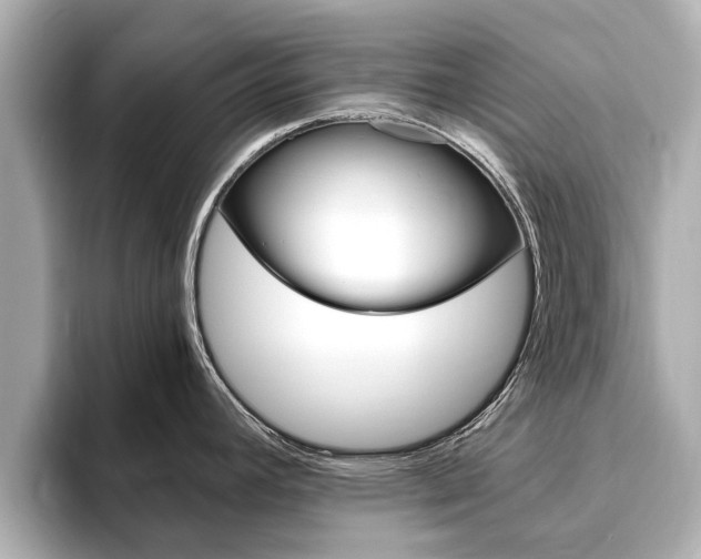 X0000093751392200710160801