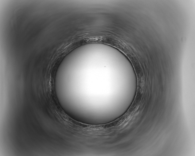 X0000093751394200710160801