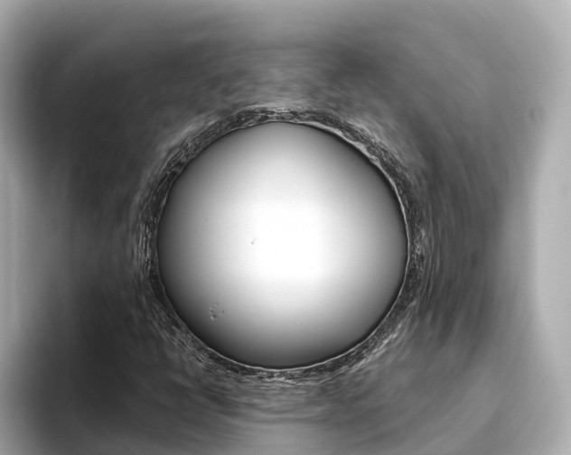 X0000093751398200710160801