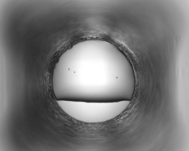 X0000093751399200710160801