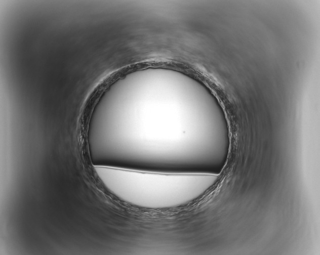 X0000093751400200710160801