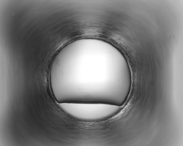 X0000093751401200710160801