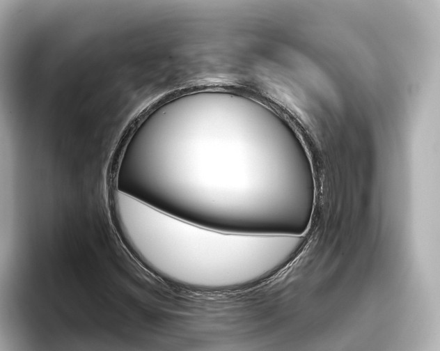 X0000093751404200710160801
