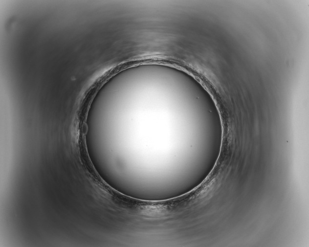 X0000093751406200710160801