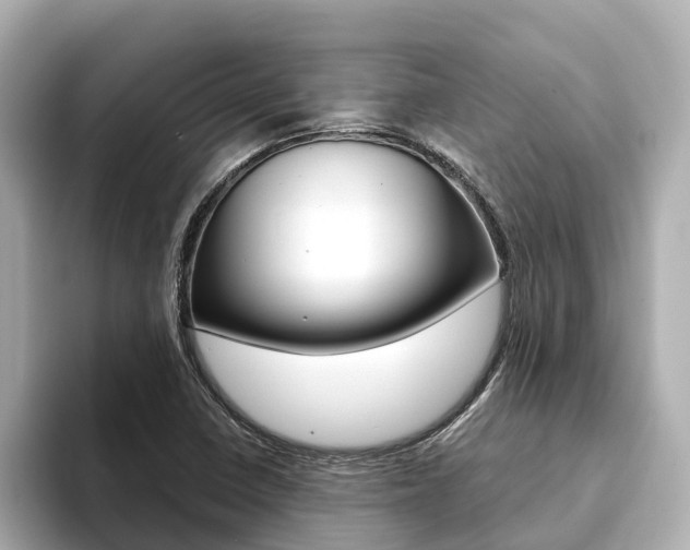 X0000093751410200710160801