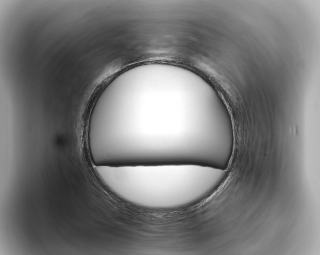X0000093751411200710160801