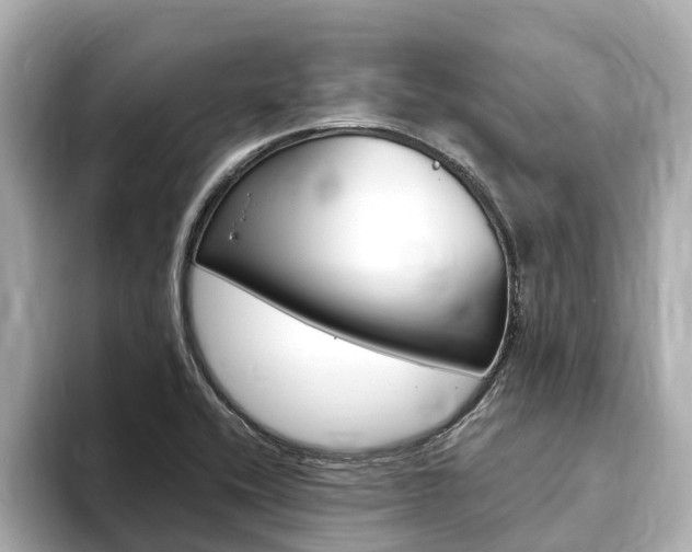 X0000093751416200710160801