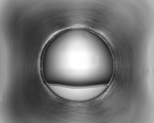 X0000093751422200710160801