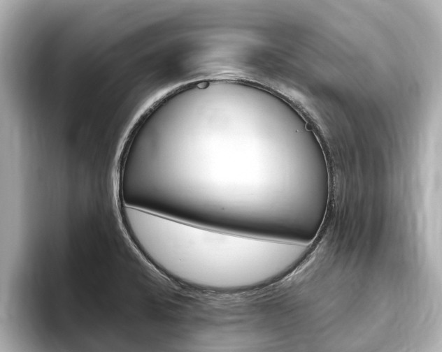 X0000093751424200710160801