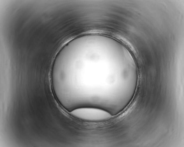 X0000093751425200710160801