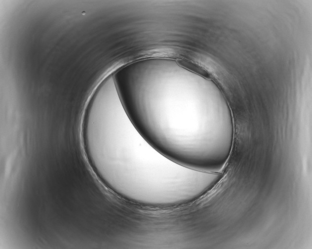 X0000093751426200710160801